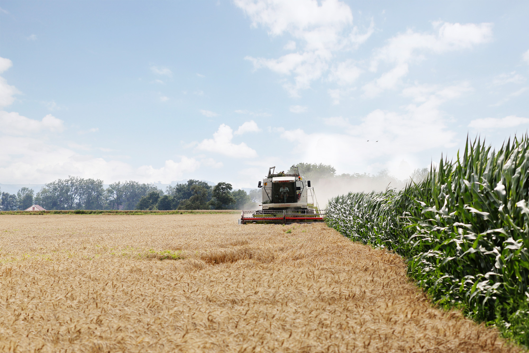 SAATBAU Saatgutsäcke